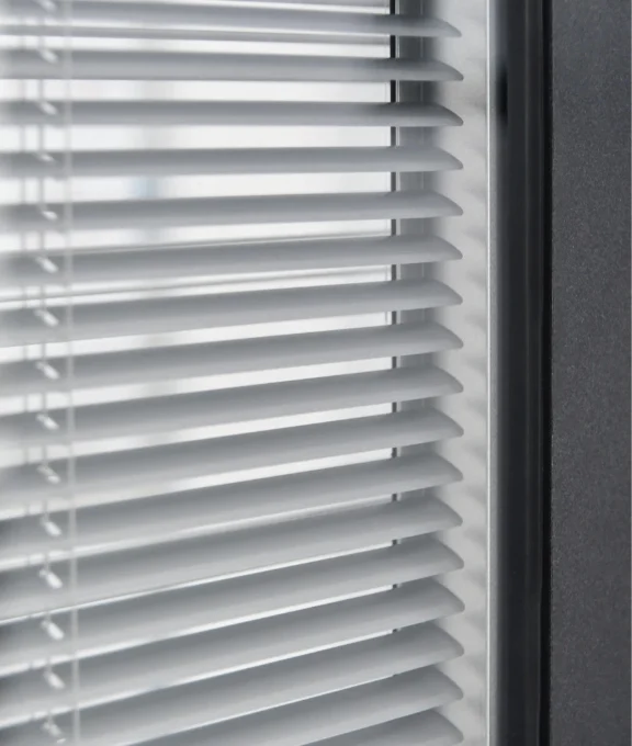 sliding door with control blinds